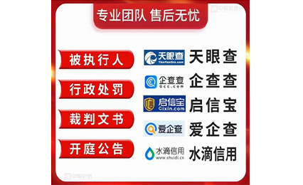 定制服务为客户提供一套完善的定制化项目整体运营方案， 涵盖公司管理运营、市场开发、申诉技术对接、业务流程梳理、标准化申诉模板等， 契合创业者实际情况，大大提高创业成功率。